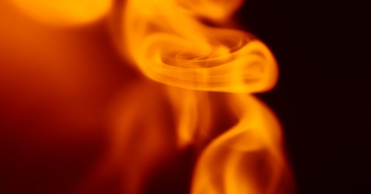 Essential Cleaning Products for Vinyl Flooring Care