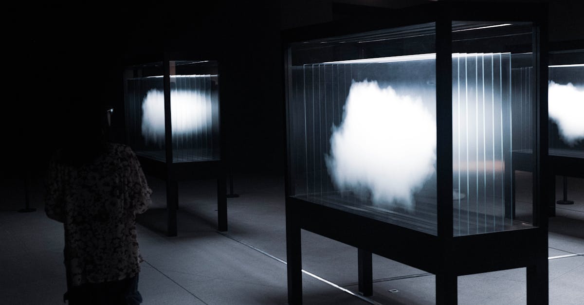 Understanding the Carpet Flooring Installation Workflow